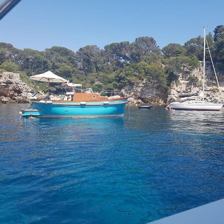 Een Parel Aan De Cote 'D Azur ! Daire Vallauris Dış mekan fotoğraf