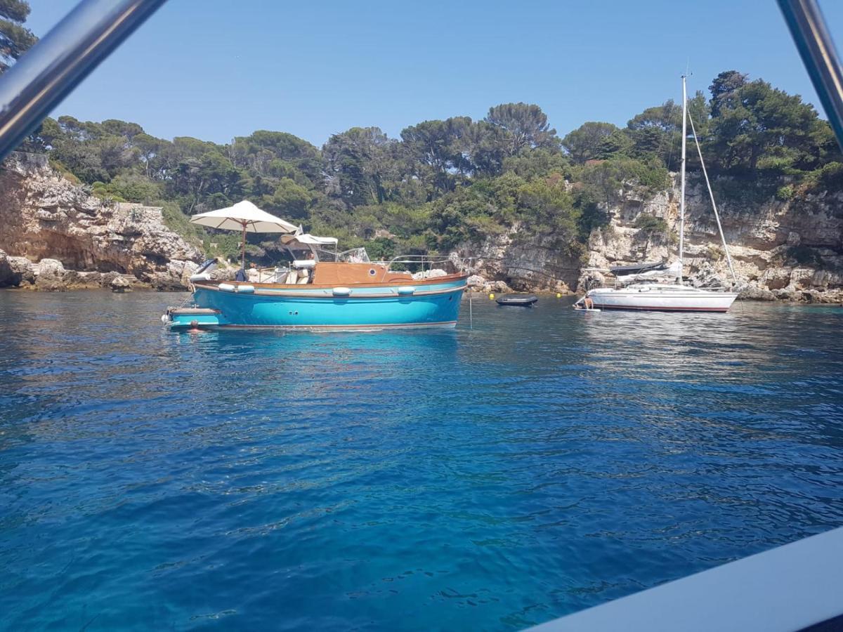 Een Parel Aan De Cote 'D Azur ! Daire Vallauris Dış mekan fotoğraf